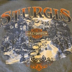 Harley-Davidson Sturgis Men's Tee in Orange and Gray